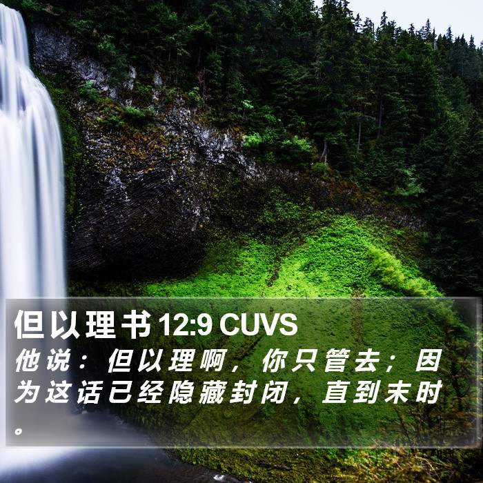 但 以 理 书 12:9 CUVS Bible Study