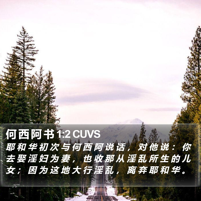 何 西 阿 书 1:2 CUVS Bible Study