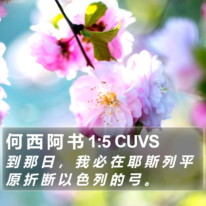 何 西 阿 书 1:5 CUVS Bible Study