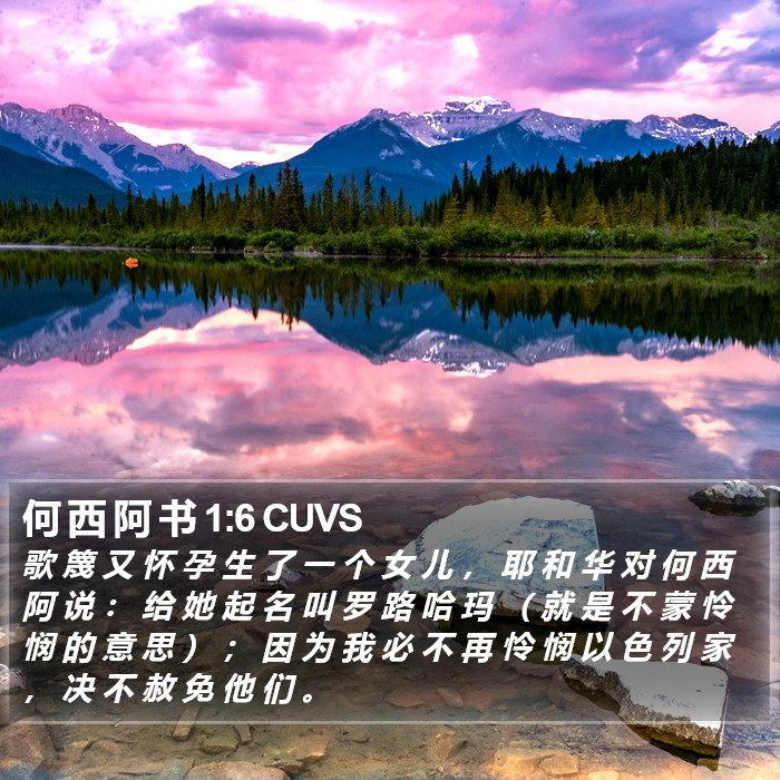 何 西 阿 书 1:6 CUVS Bible Study