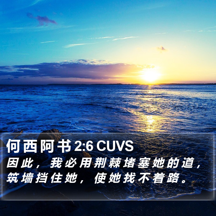 何 西 阿 书 2:6 CUVS Bible Study