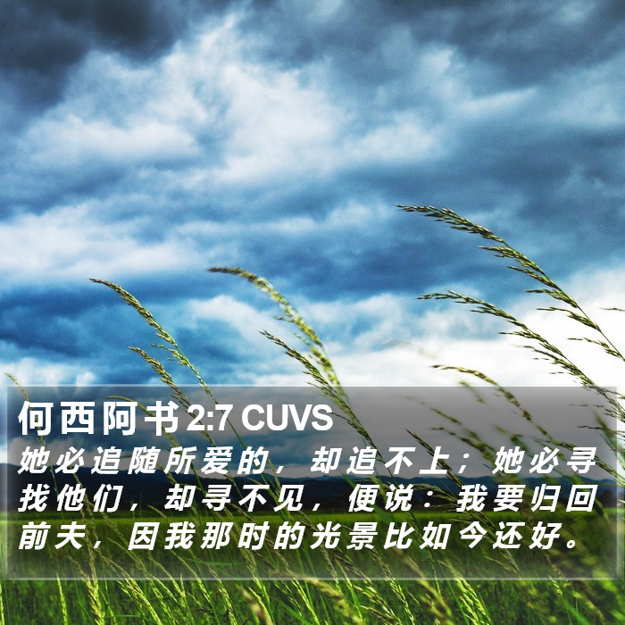 何 西 阿 书 2:7 CUVS Bible Study