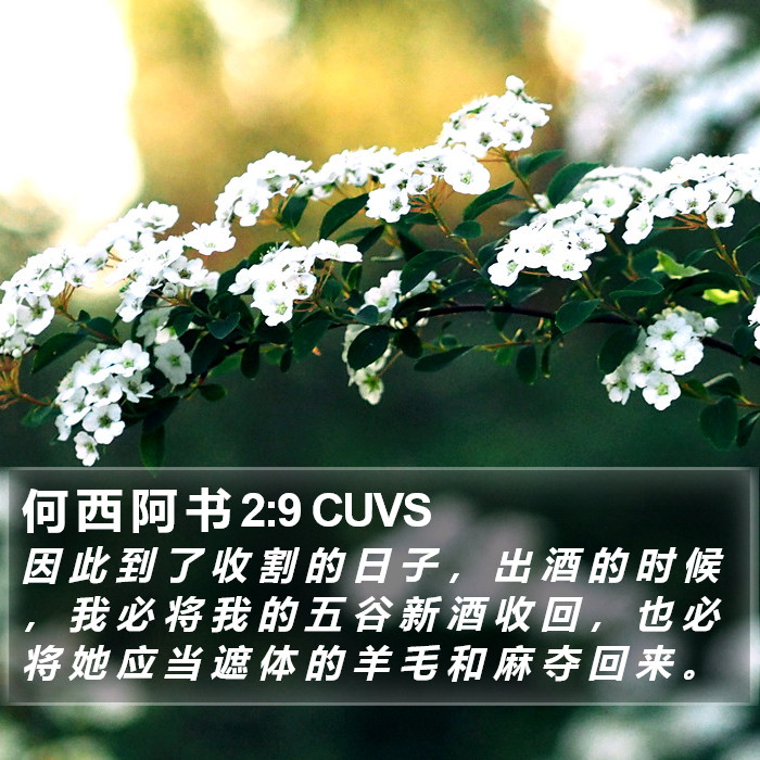 何 西 阿 书 2:9 CUVS Bible Study