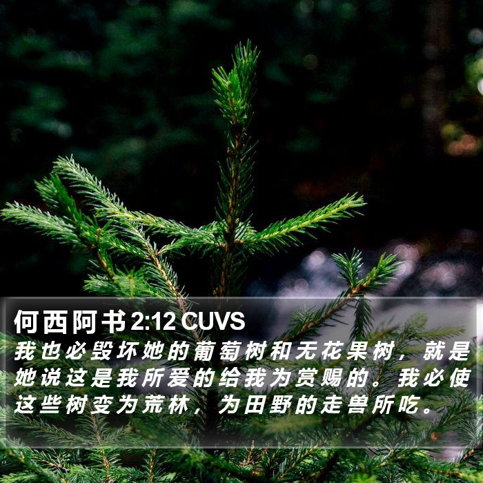 何 西 阿 书 2:12 CUVS Bible Study