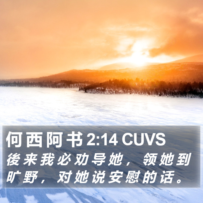 何 西 阿 书 2:14 CUVS Bible Study