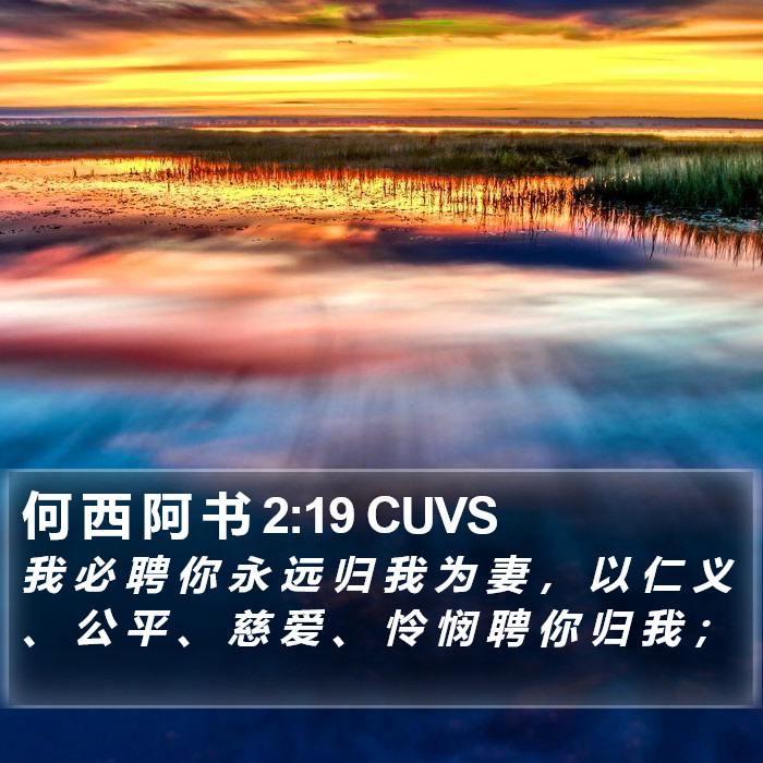 何 西 阿 书 2:19 CUVS Bible Study