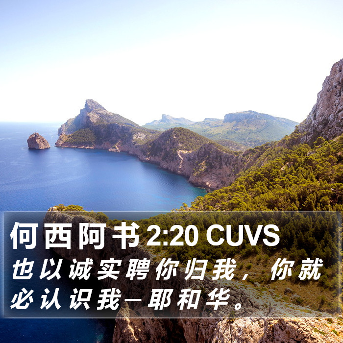 何 西 阿 书 2:20 CUVS Bible Study