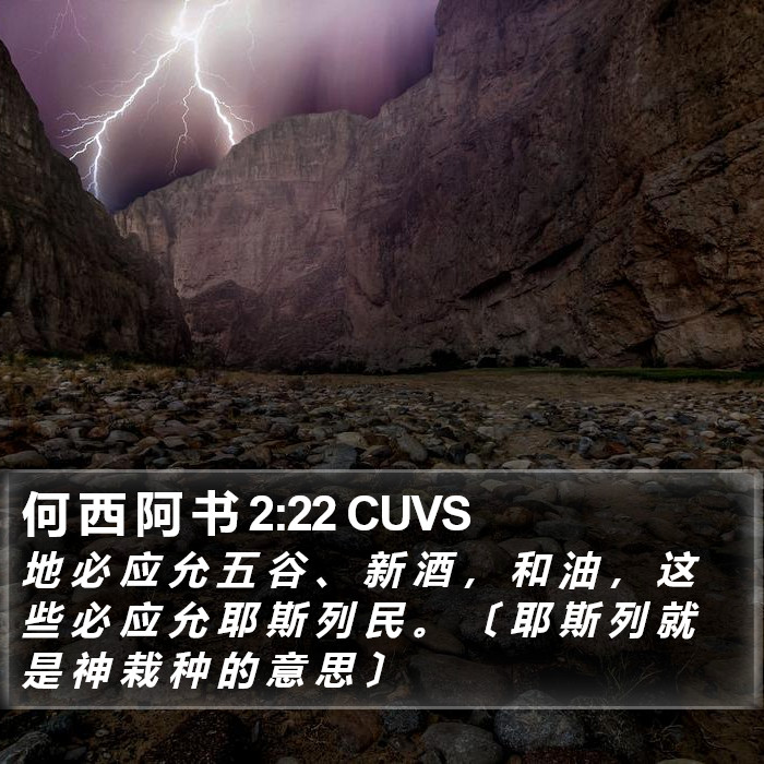 何 西 阿 书 2:22 CUVS Bible Study