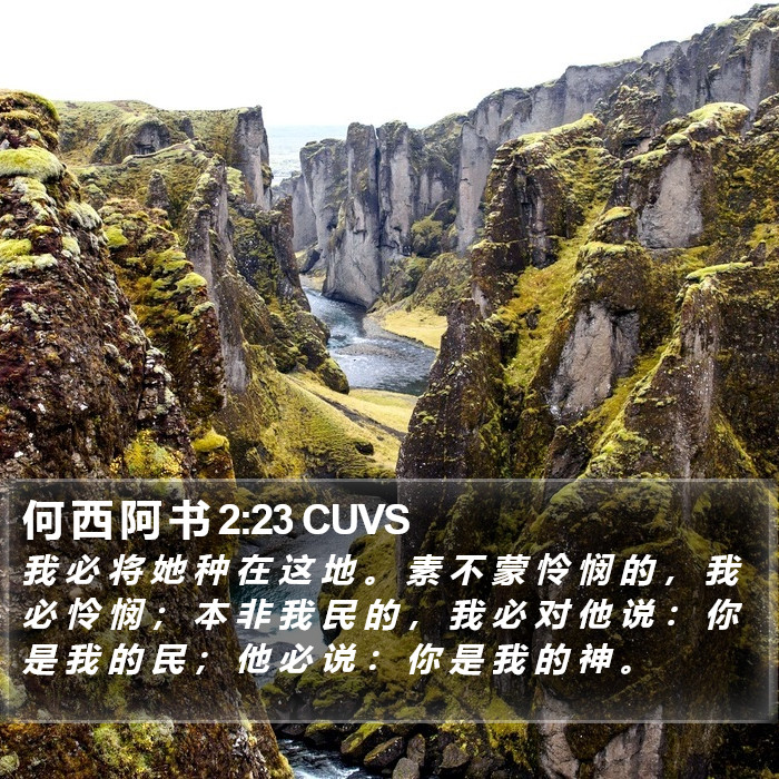 何 西 阿 书 2:23 CUVS Bible Study