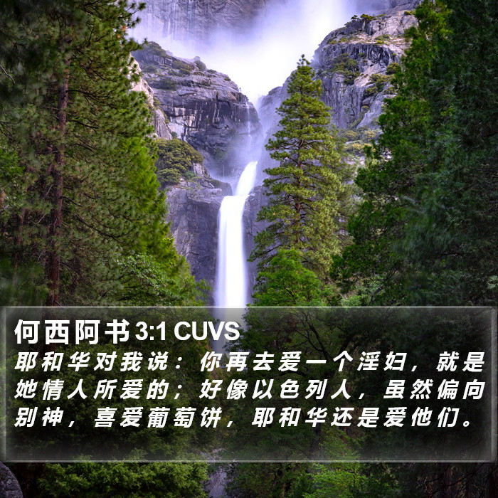 何 西 阿 书 3:1 CUVS Bible Study