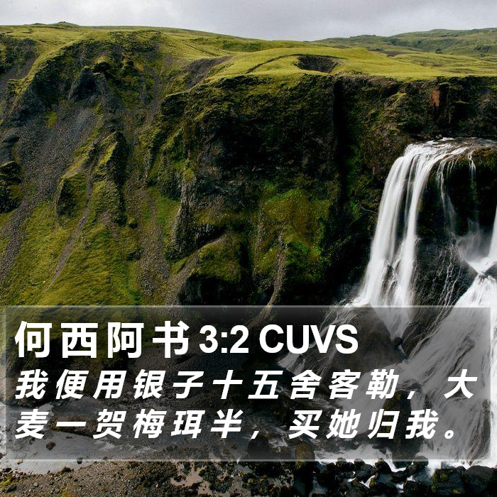 何 西 阿 书 3:2 CUVS Bible Study