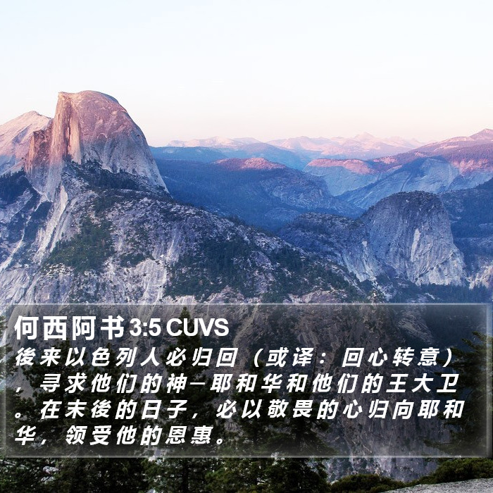 何 西 阿 书 3:5 CUVS Bible Study