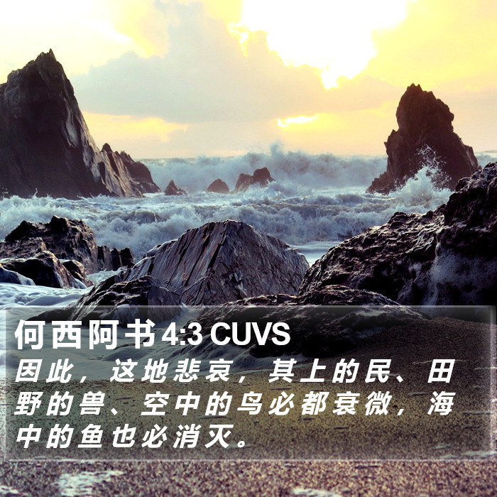 何 西 阿 书 4:3 CUVS Bible Study