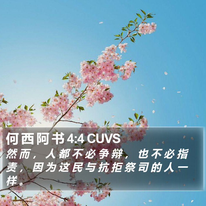 何 西 阿 书 4:4 CUVS Bible Study