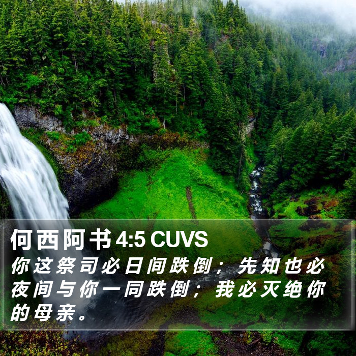 何 西 阿 书 4:5 CUVS Bible Study