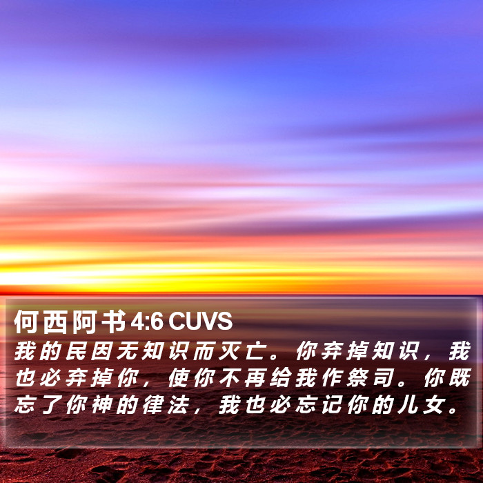 何 西 阿 书 4:6 CUVS Bible Study