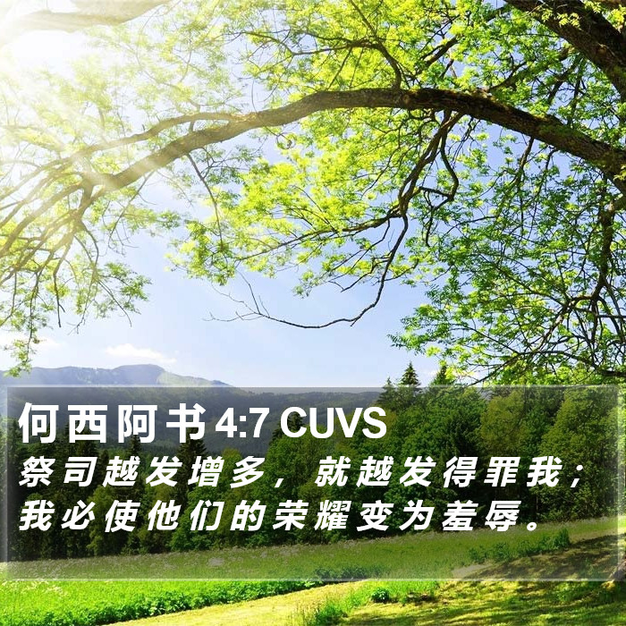 何 西 阿 书 4:7 CUVS Bible Study