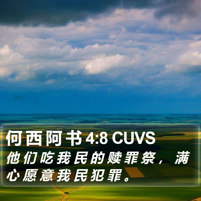 何 西 阿 书 4:8 CUVS Bible Study