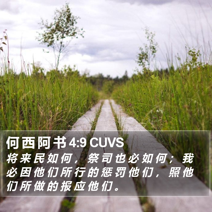 何 西 阿 书 4:9 CUVS Bible Study