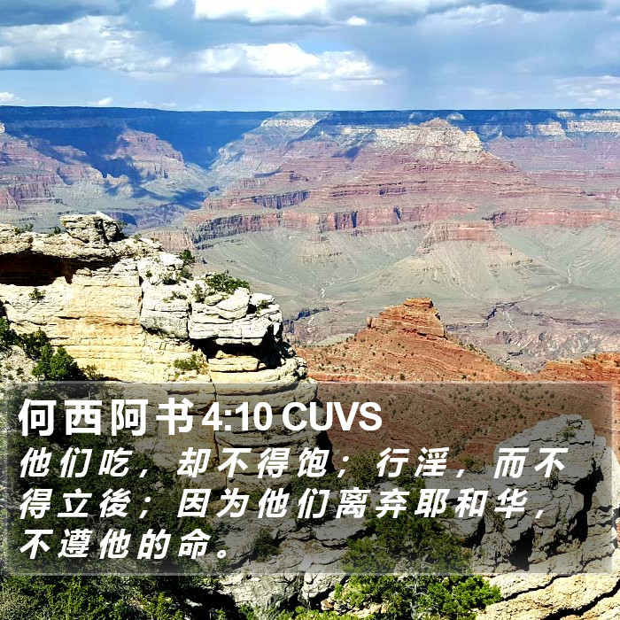 何 西 阿 书 4:10 CUVS Bible Study