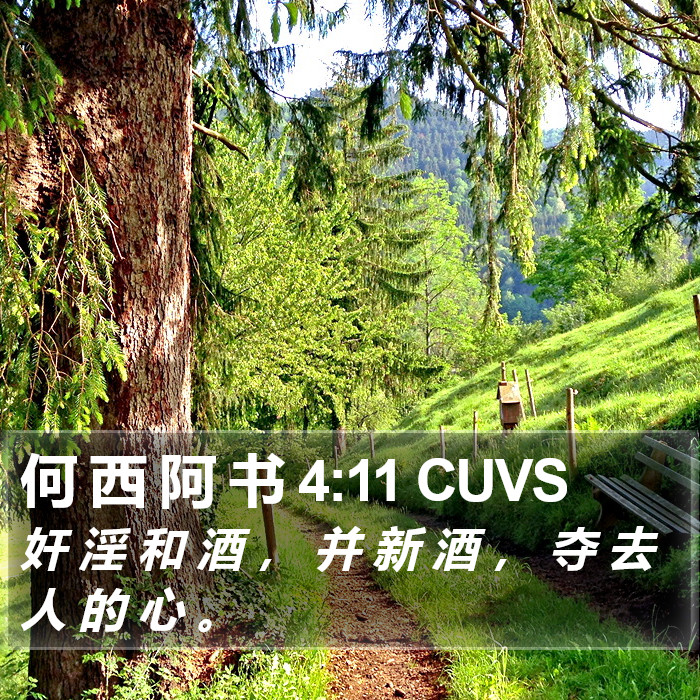 何 西 阿 书 4:11 CUVS Bible Study