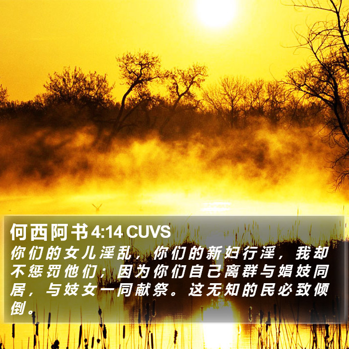 何 西 阿 书 4:14 CUVS Bible Study