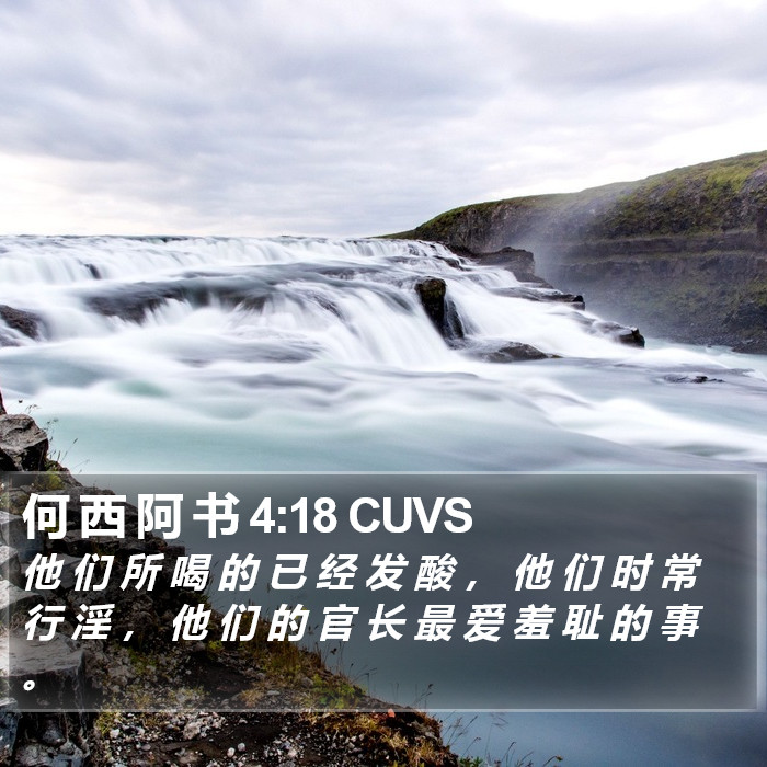 何 西 阿 书 4:18 CUVS Bible Study