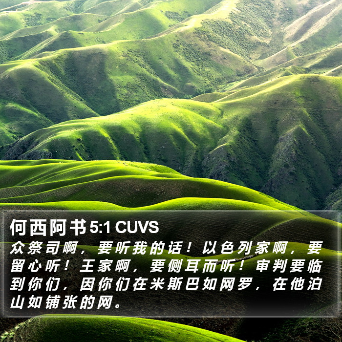 何 西 阿 书 5:1 CUVS Bible Study