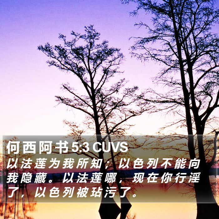 何 西 阿 书 5:3 CUVS Bible Study