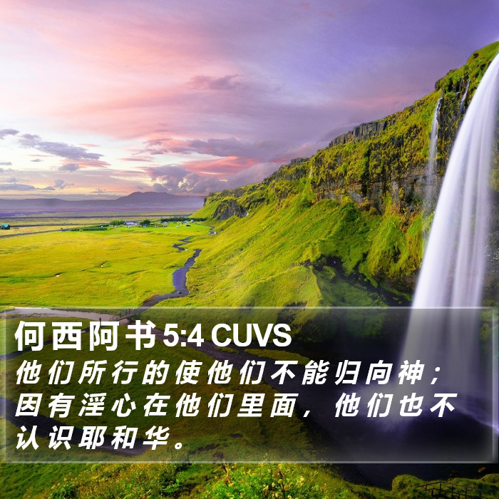 何 西 阿 书 5:4 CUVS Bible Study