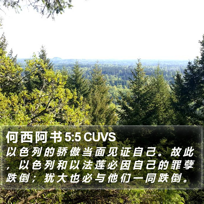 何 西 阿 书 5:5 CUVS Bible Study