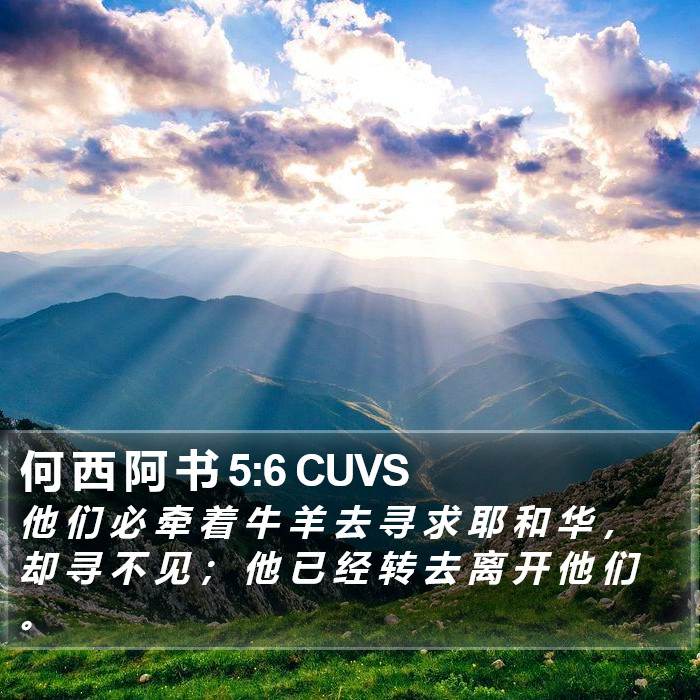 何 西 阿 书 5:6 CUVS Bible Study