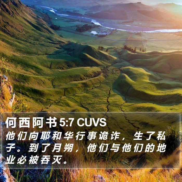 何 西 阿 书 5:7 CUVS Bible Study