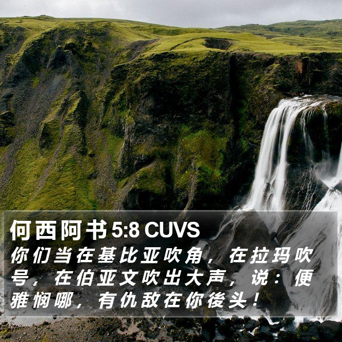 何 西 阿 书 5:8 CUVS Bible Study