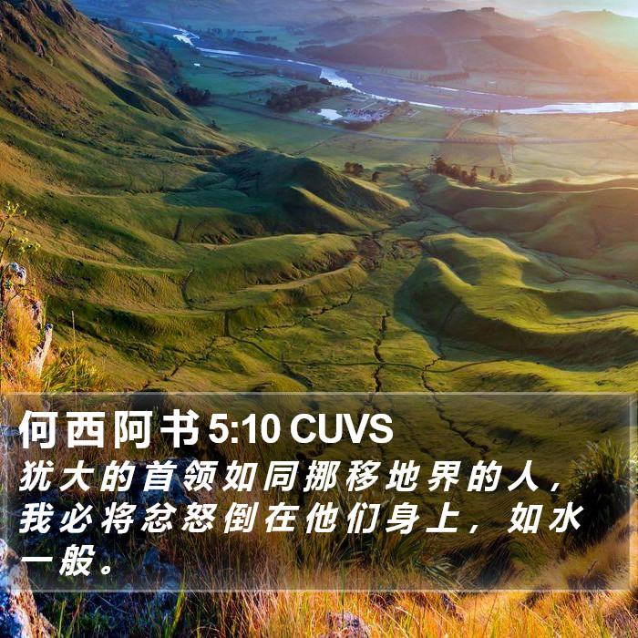 何 西 阿 书 5:10 CUVS Bible Study