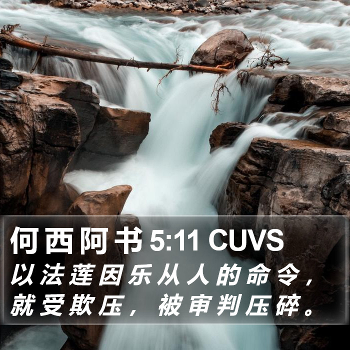 何 西 阿 书 5:11 CUVS Bible Study