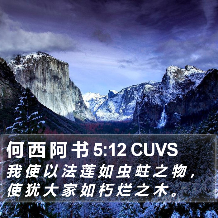 何 西 阿 书 5:12 CUVS Bible Study