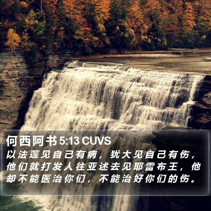 何 西 阿 书 5:13 CUVS Bible Study