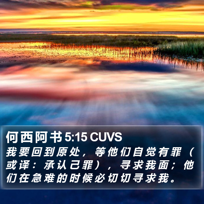 何 西 阿 书 5:15 CUVS Bible Study