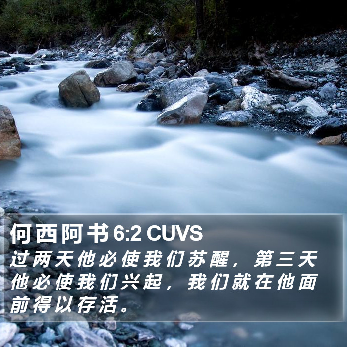 何 西 阿 书 6:2 CUVS Bible Study