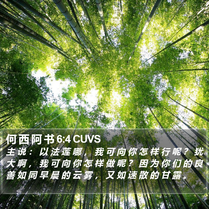 何 西 阿 书 6:4 CUVS Bible Study