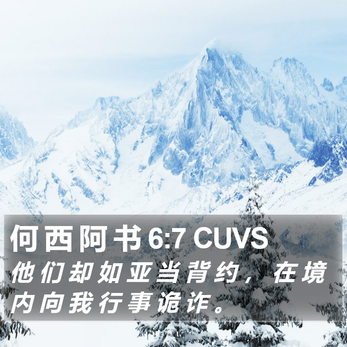 何 西 阿 书 6:7 CUVS Bible Study