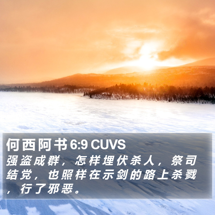 何 西 阿 书 6:9 CUVS Bible Study