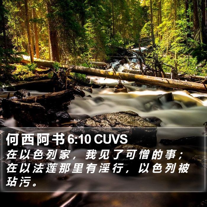 何 西 阿 书 6:10 CUVS Bible Study