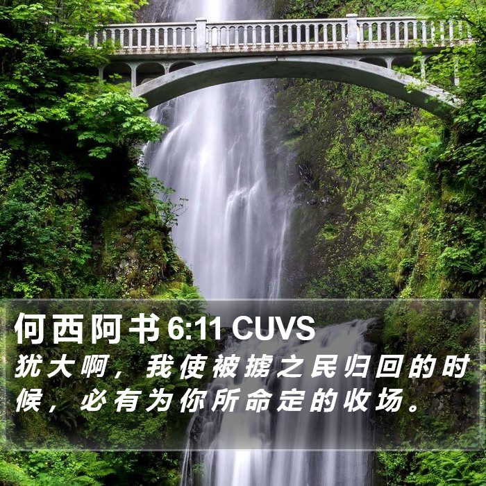 何 西 阿 书 6:11 CUVS Bible Study