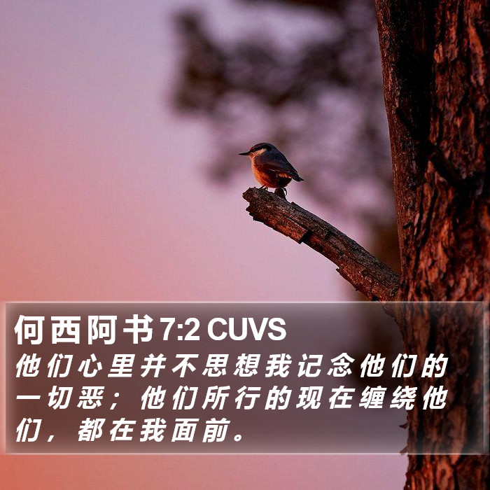 何 西 阿 书 7:2 CUVS Bible Study