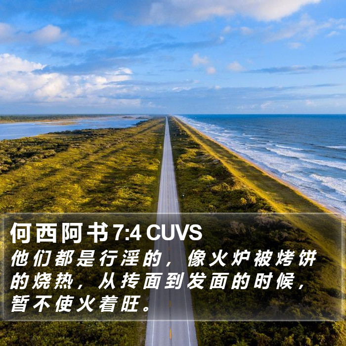 何 西 阿 书 7:4 CUVS Bible Study