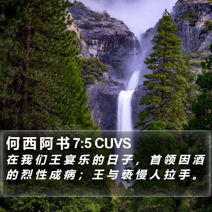 何 西 阿 书 7:5 CUVS Bible Study