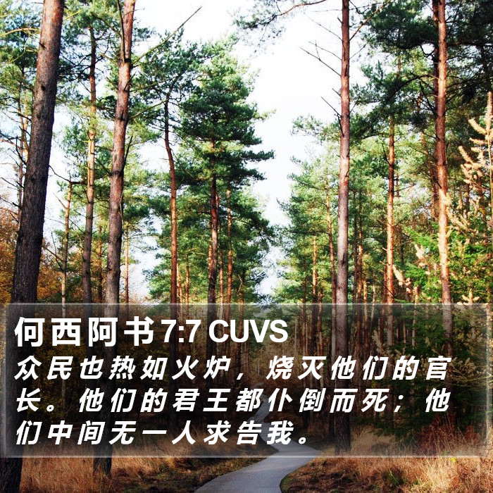 何 西 阿 书 7:7 CUVS Bible Study