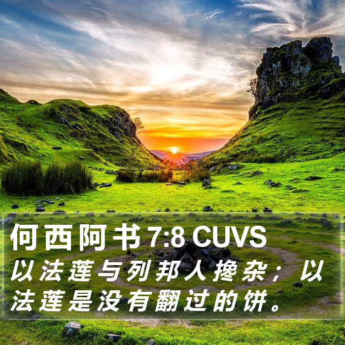 何 西 阿 书 7:8 CUVS Bible Study